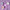 collections/0A8ED2E0-7C51-4F42-9DAD-D123A2D95946.jpg