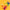 collections/IMG-1778.webp