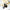 collections/IMG_2068.jpg