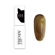 TrendyNails - Cat Eye's 