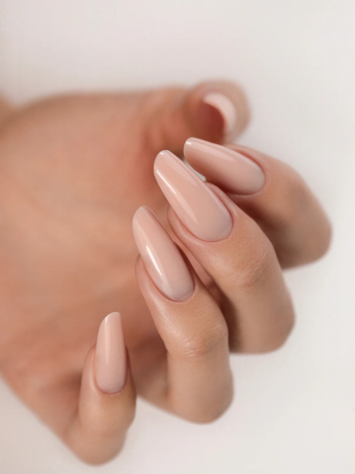 TrendyNails - Builder/Hard gel 