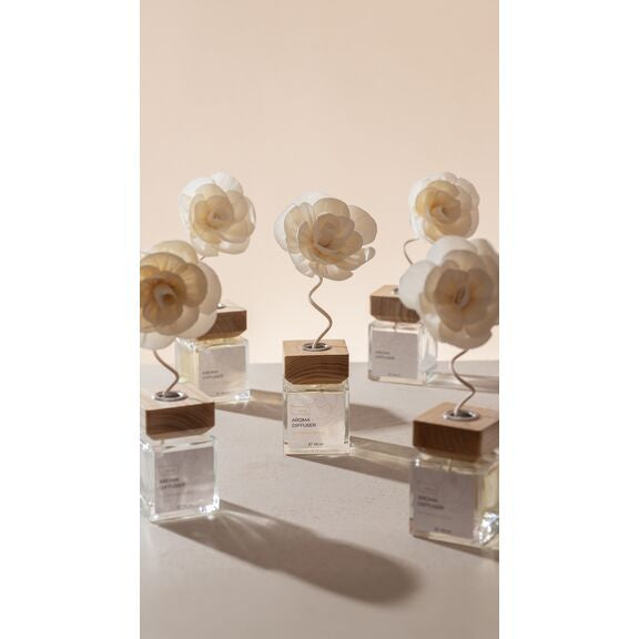 HeyLove Aroma Diffuser - Silver, 100 ml